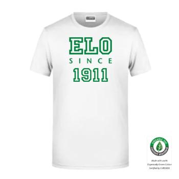 Preview: Herren T Shirt weiß/grün