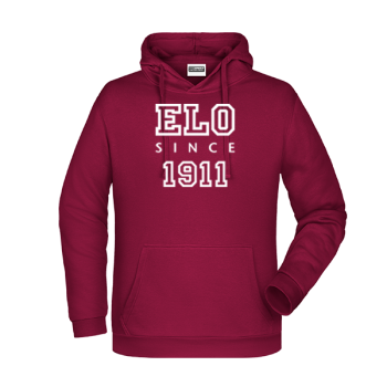 Preview: Klassisches Kapuzensweat Herren